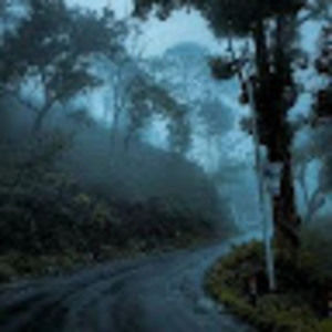 Meet your Posher, Jazmin